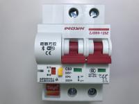 Tuya涂鴉遠端斷路器系統 手機無國界遠距Siri聲控無熔絲開關Smart Life wifi手機聲控遠控無熔絲開關斷路器_2P